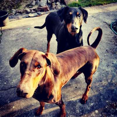 Lieblings "nervige Sprüche"-Beitrag-Bild