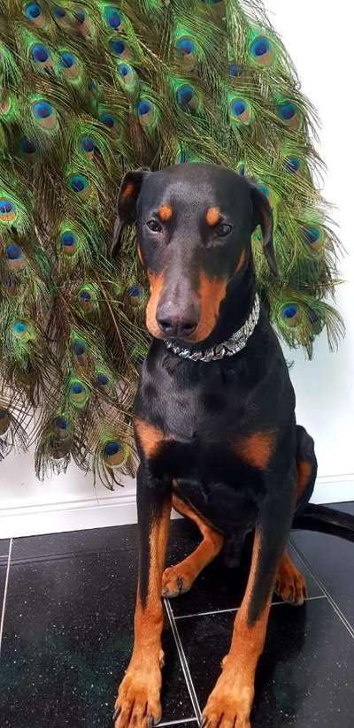 Lieblingsbild :D-Beitrag-Bild