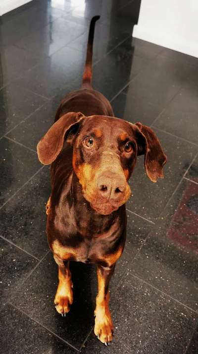 Lieblingsbild :D-Beitrag-Bild