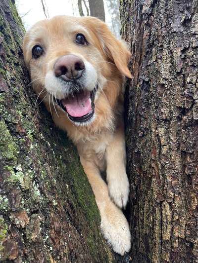 Handy Foto Challenge Nr. 49: Mein Freund der Baum-Beitrag-Bild