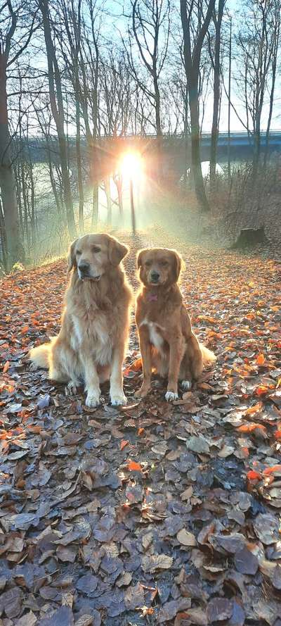 Fotochallange Nr. 46

Schattenspiele BEENDET!!!!!-Beitrag-Bild