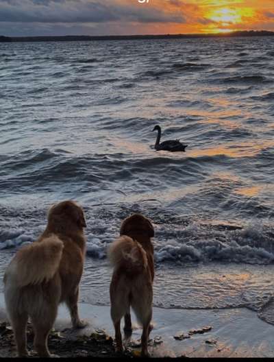 Theos Fotochallange Nummer 4-Beitrag-Bild