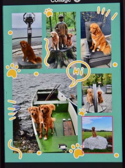 31. Collagen Challenge - Bänke/ Steine /Baumstümpfe-Beitrag-Bild