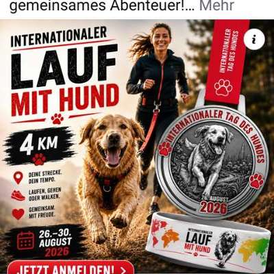 Hundetreffen-Lauf mit dem Hund-Bild