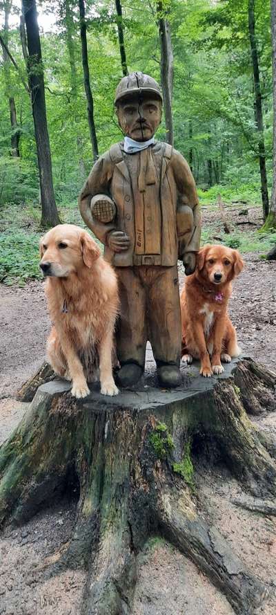 Handy Foto Challenge Nr 48: Hund und Kunst-Beitrag-Bild