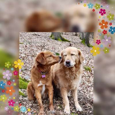 Fotochallenge liebespaare-Beitrag-Bild