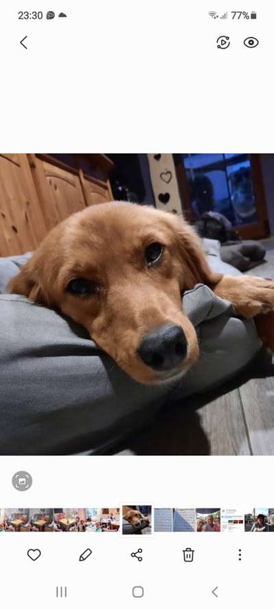 Fotochallange 84-Beitrag-Bild