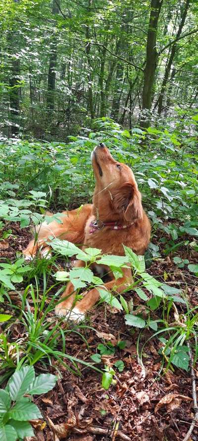 FOTOCHALLENGE 86-Beitrag-Bild