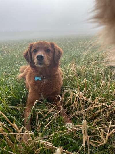 Doppelgänger gesucht !-Beitrag-Bild