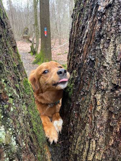 Farben Fotochallenge Thema ,,Grün"-Beitrag-Bild