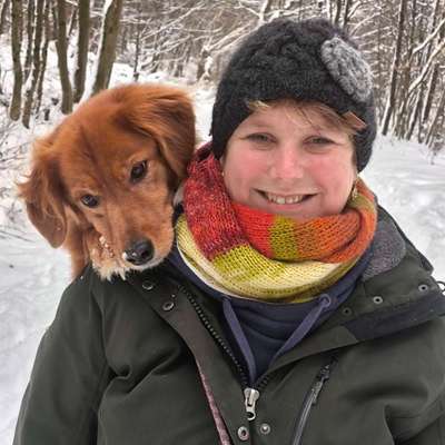 Hundetreffen-Gemeinsam in Urlaub fahren-Bild