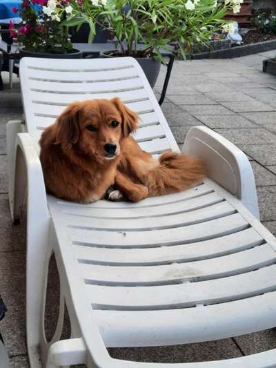 14. Farbenfoto-Challenge "Weiss"-Beitrag-Bild