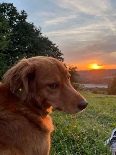 Doppelgänger gesucht !-Beitrag-Bild