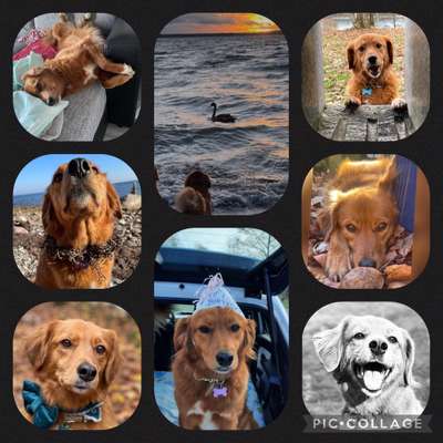 32. Collagen Challenge - eure liebsten gestellten Fotos-Beitrag-Bild