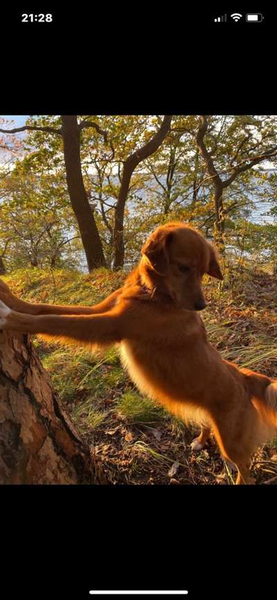 Handy Foto Challenge Nr. 49: Mein Freund der Baum-Beitrag-Bild