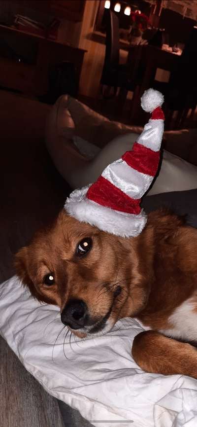 Fotochallange Nr. 57     PORTRÄT.   Beendet!!!!!!!!-Beitrag-Bild