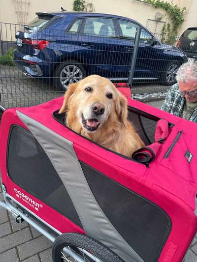 11. Farben Foto Challenge Rot-Beitrag-Bild