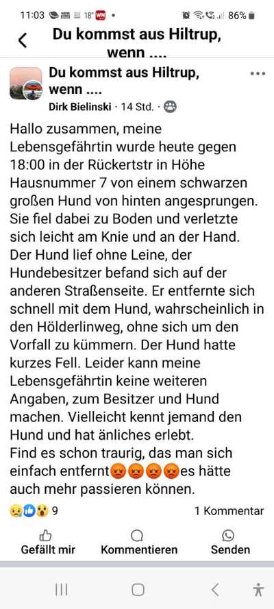 Giftköder-Hund verletzt Person-Bild