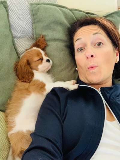 Cavalier King Charles Spaniel?-Beitrag-Bild