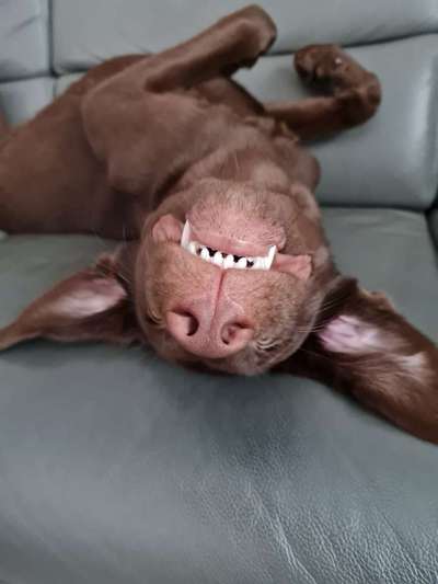 Handy-foto Challange nr. 11-Beitrag-Bild