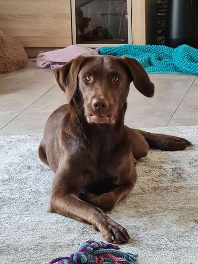 Das beste grinsefoto-Beitrag-Bild