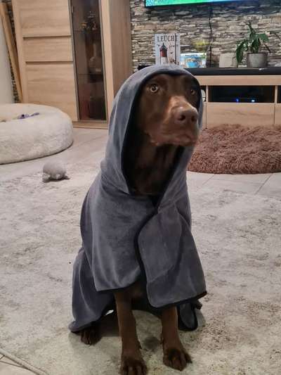 149. Foto Challenge: Wer ist hier der Boss!-Beitrag-Bild