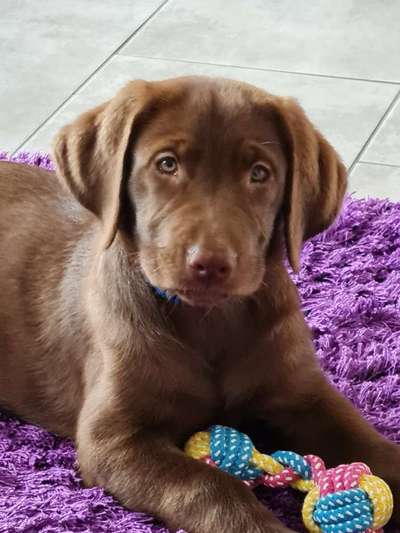 Fotowettbewerb-Beitrag-Bild