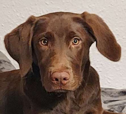 Fotochallange Nr. 57     PORTRÄT.   Beendet!!!!!!!!-Beitrag-Bild