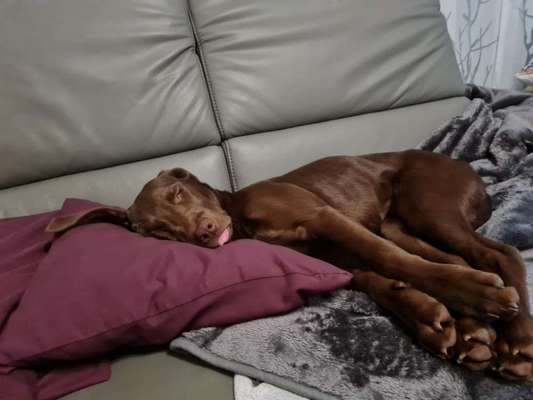 Handyfoto challenge Nr. 13: Waschlappen raus!-Beitrag-Bild