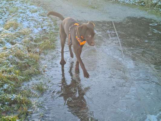 Handy-Foto-Challange Nr.9-Beitrag-Bild