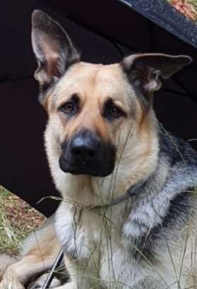 Fotochallange Nr. 57     PORTRÄT.   Beendet!!!!!!!!-Beitrag-Bild