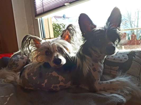 Foto Challenge Nr.: 115-Beitrag-Bild