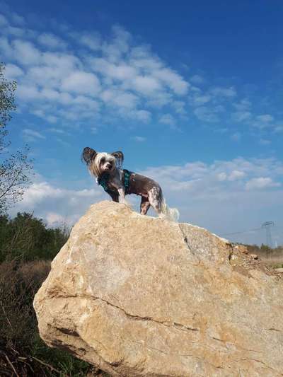 Fotochallenge Nr 107-Beitrag-Bild