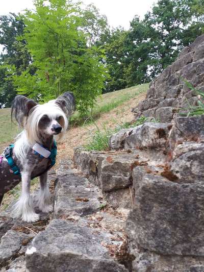 21. Handy-Foto-Challenge-Beitrag-Bild