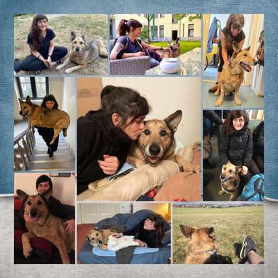 21. Collage Challenge 
Du und dein Hund-Beitrag-Bild