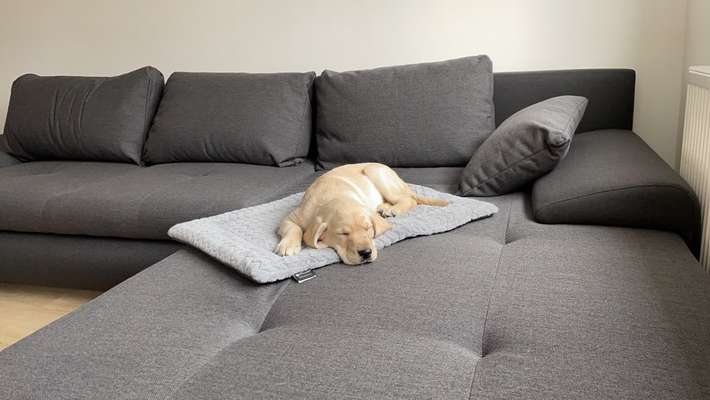 Lieblingsbild-Beitrag-Bild