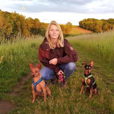 Hundetreffen-Trainingsrunde (Social Walk)-Profilbild