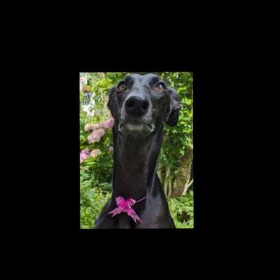 Häufige Vorurteile-Beitrag-Bild