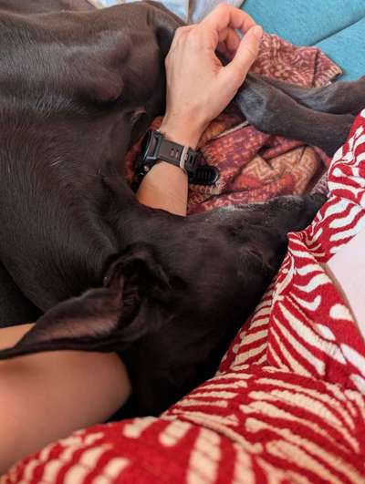 Zeigt her Eure Futternäpfe-Beitrag-Bild