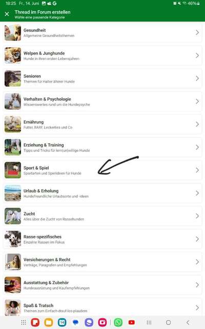 35. Impulskontrollübung "Kontakt mit anderen Tieren"-Beitrag-Bild