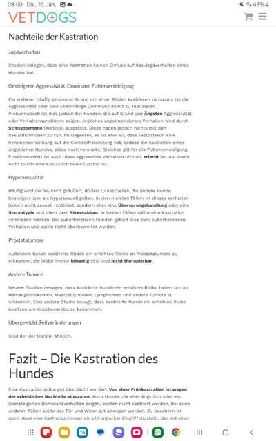 Kastration, in welchem Alter?-Beitrag-Bild