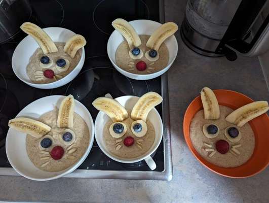 Zeigt her Eure Futternäpfe-Beitrag-Bild