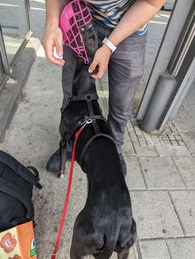 TierschutzhundeStammtisch🐕-Beitrag-Bild