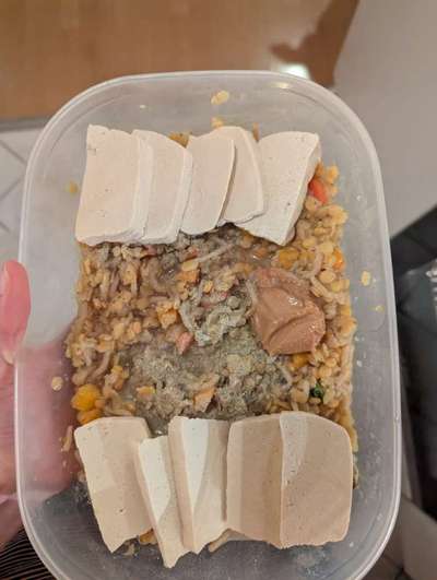 Zeigt her Eure Futternäpfe-Beitrag-Bild