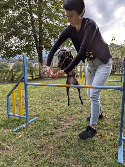 TierschutzhundeStammtisch🐕-Beitrag-Bild