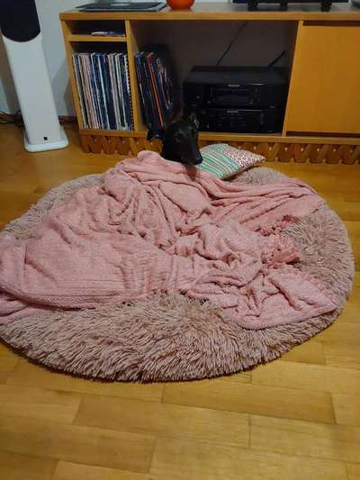 Zeigt her Eure Futternäpfe-Beitrag-Bild