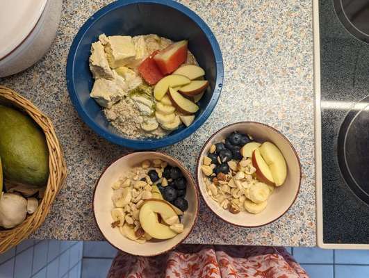 Zeigt her Eure Futternäpfe-Beitrag-Bild