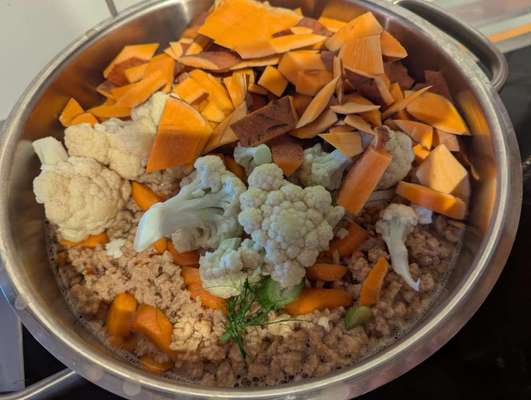 Zeigt her Eure Futternäpfe-Beitrag-Bild