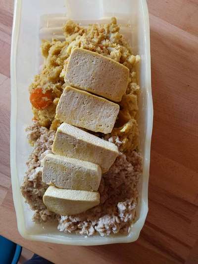 Zeigt her Eure Futternäpfe-Beitrag-Bild