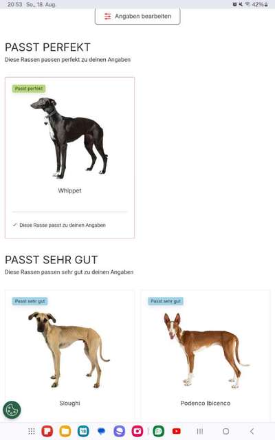 TierschutzhundeStammtisch🐕-Beitrag-Bild